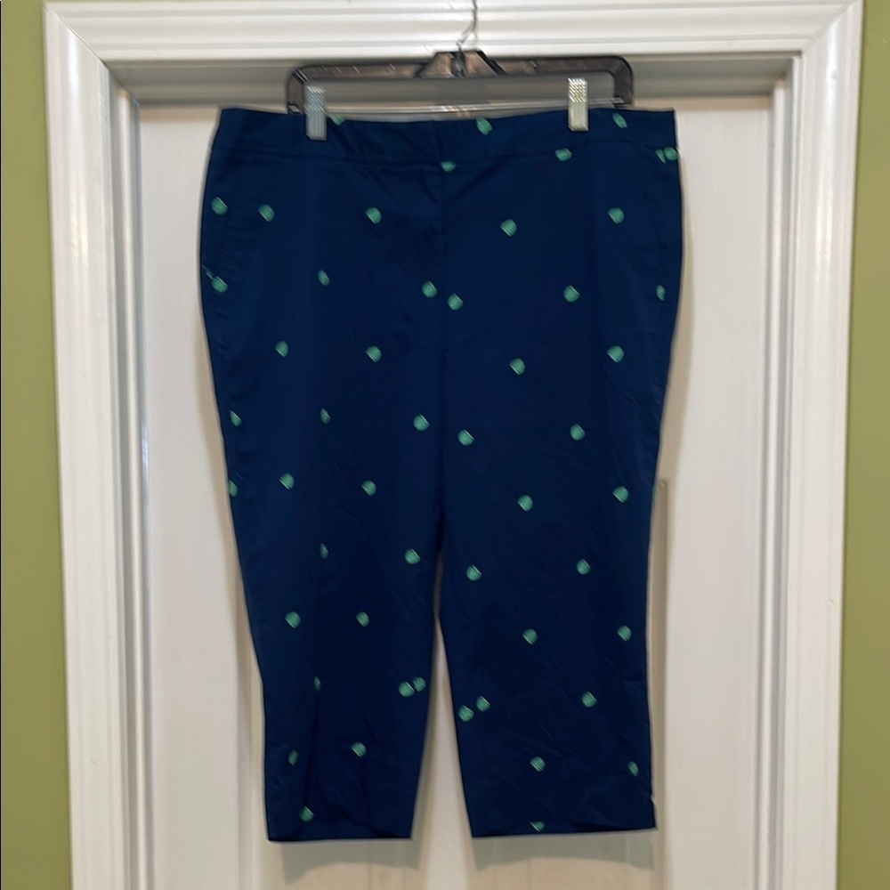 NWT Talbots - Navy Blue Capris with Green Embroidered Leaves - size 16